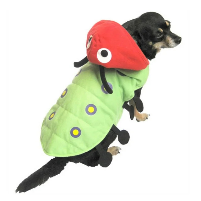 Caterpillar Dog Costume Green Bug Pet Outfit XX-Small - Walmart.com | Walmart (US)