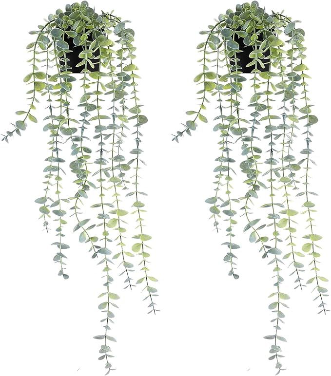 LORYDECO Artificial Hanging Potted Eucalyptus Vine Set of 2, Fake Plants with Pot, Medium Faux Pl... | Amazon (US)