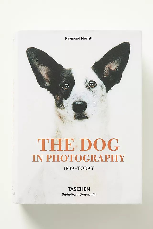 The Dog in Photography | Anthropologie (US)