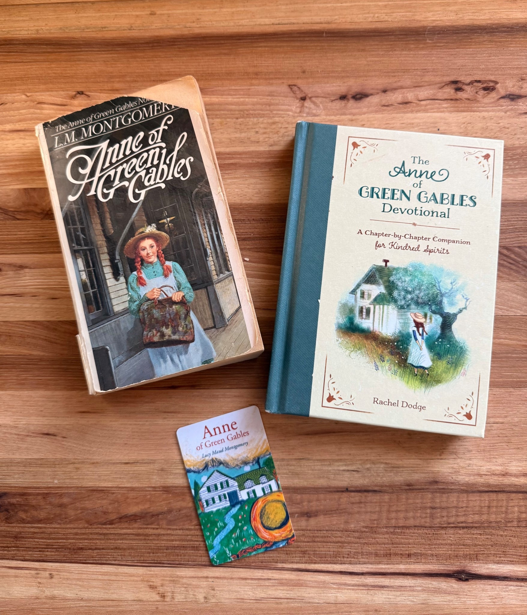 the sweetest Anne of Green Gables bundle for read-aloud with your kids! 

#LTKHome #LTKFamily #LTKKids