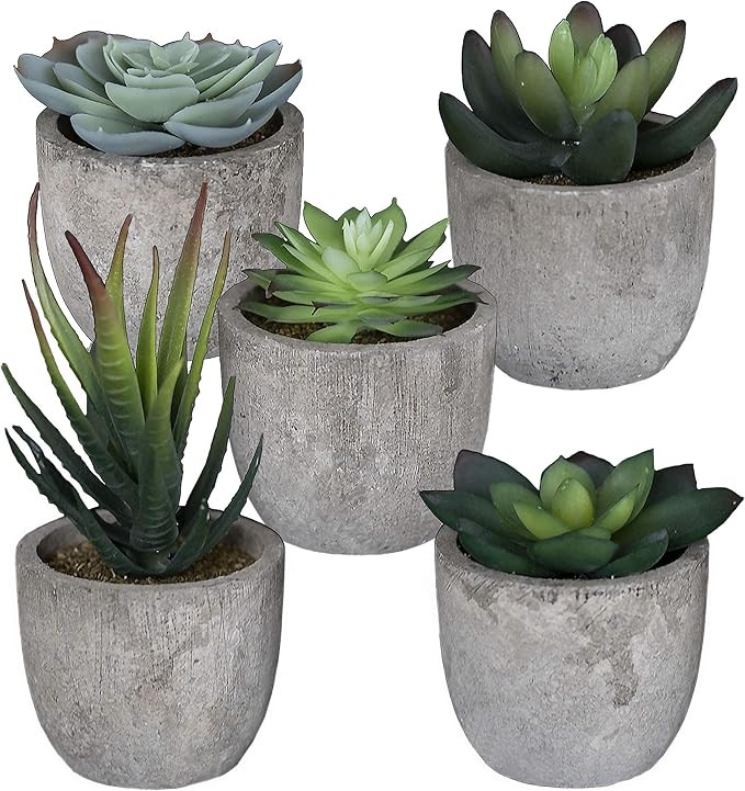 Set of 5 Succulents Fake Plants Bedroom Aesthetic Small Fake Plants Bathroom - Mini Fake Plants D... | Amazon (US)