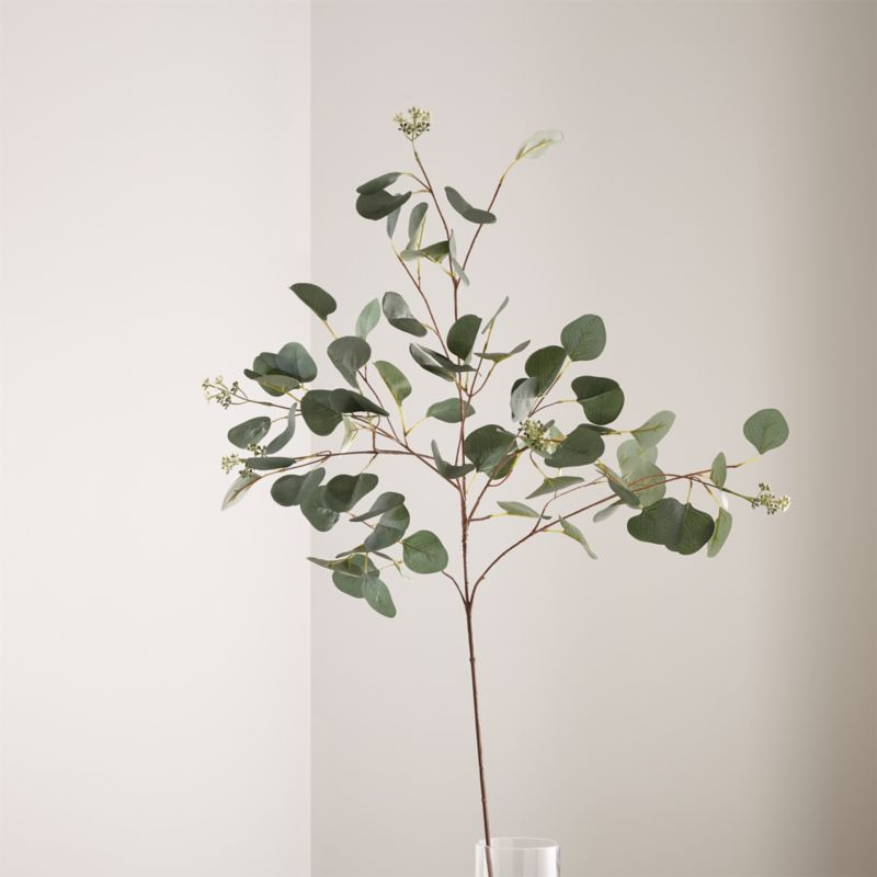 Faux Silver Dollar Eucalyptus Stem + Reviews | Crate & Barrel | Crate & Barrel