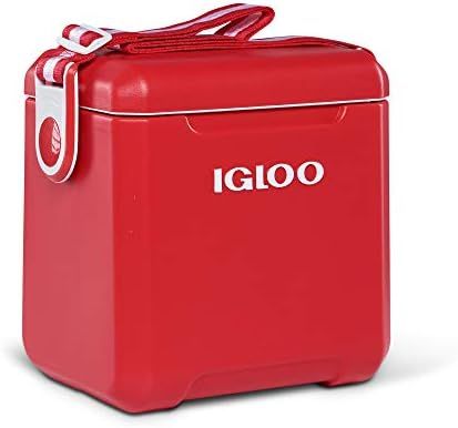 Igloo Tagalong 11 Quart Camping Outdoor Fishing Tailgate Insulated Ice Drink Bottle Cooler with B... | Amazon (US)