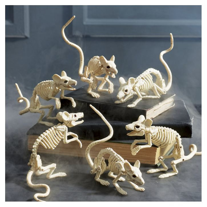 Skeleton Mice, Set of Six | Grandin Road | Grandin Road