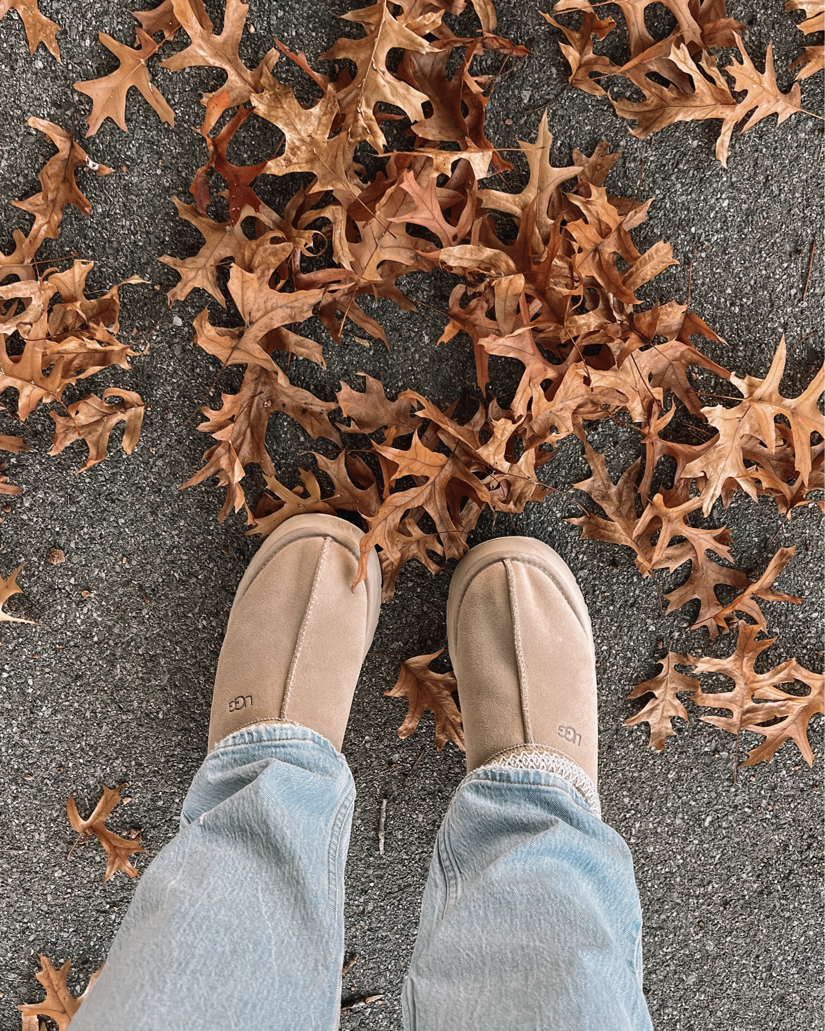 Ugg Tazz platforms!! So comfy and perfect for fall! They run a little small, I’m usually a 9.5 and the 10 fits perfectly. This is the Sand color!

Fall shoes, fall fashion trends


#LTKstyletip #LTKsapatos #LTKautumn