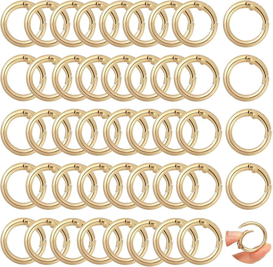 Round Carabiner Clip Bulk 48pcs 1 Inch Colorful Circle Carabiner Key Ring Clips Spring O Rings Cl... | Amazon (US)