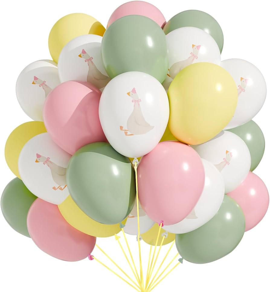 60 Pcs Bow Goose Balloons Set, 12 Inch Pastel Pink Latex Balloons Silly Goose Birthday Party Deco... | Amazon (US)
