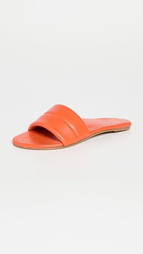 Sugarbird Slides | Shopbop