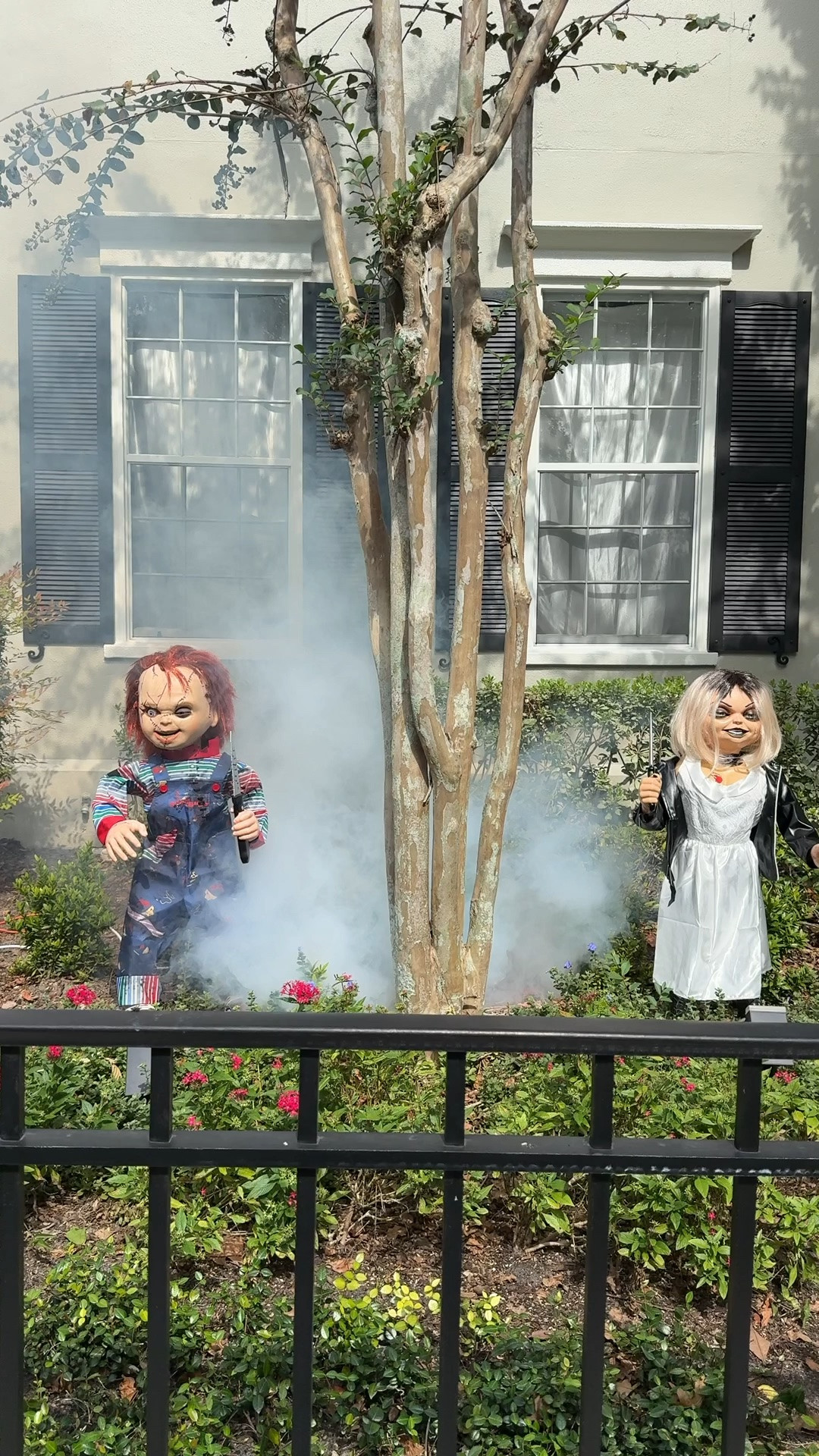 My Halloween decor