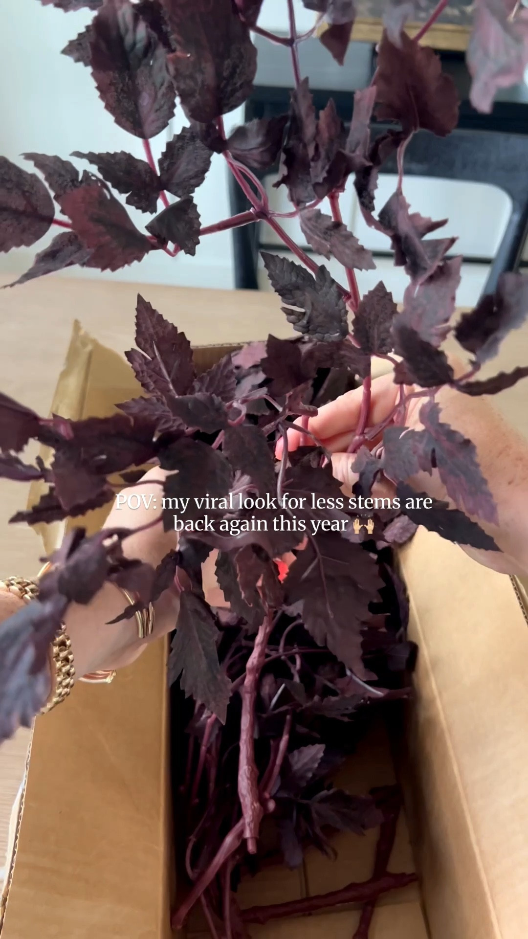 Look for less fall stems 😍 

#LTKHome #LTKSeasonal #LTKFindsUnder50