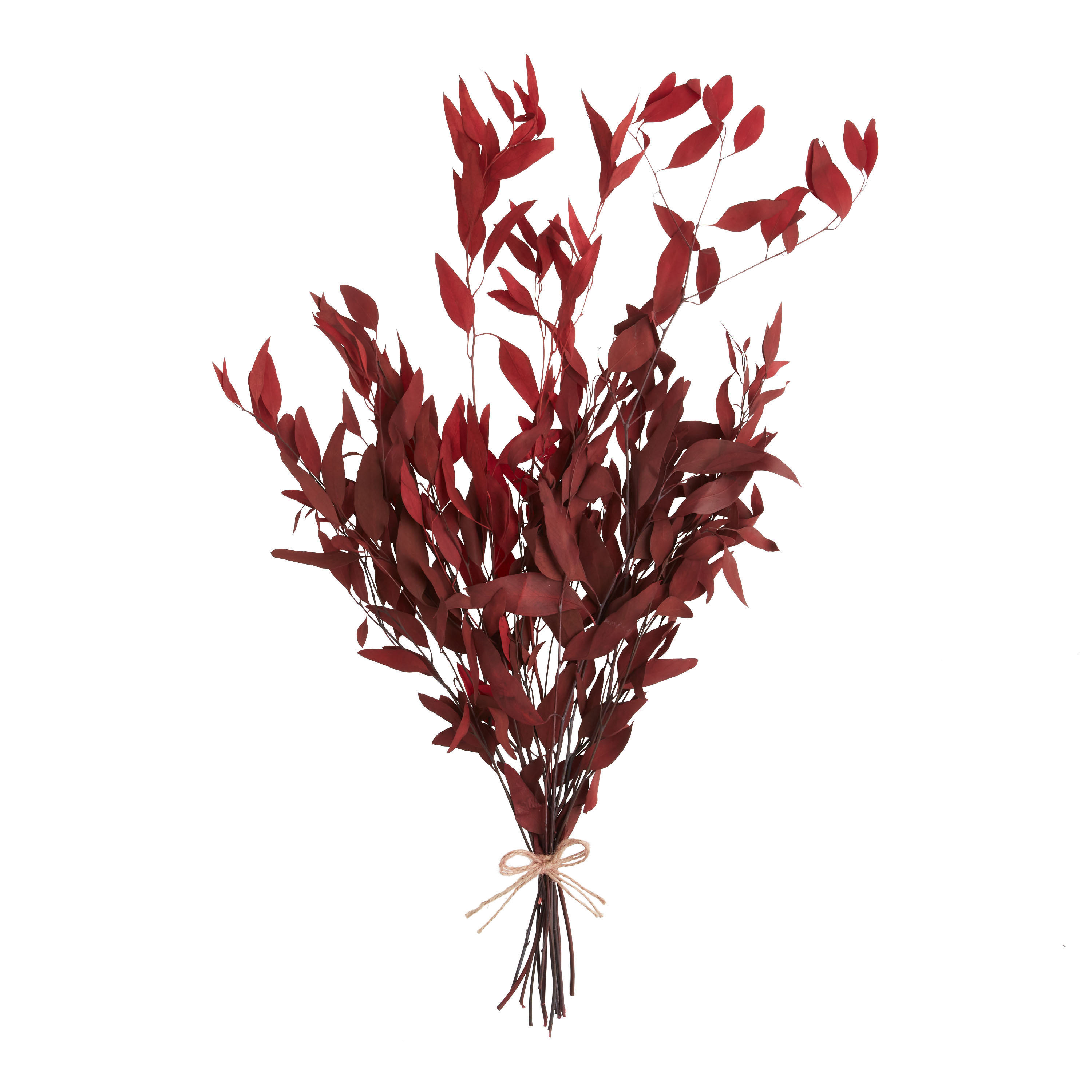 Dried Willow Eucalyptus Bunch | World Market