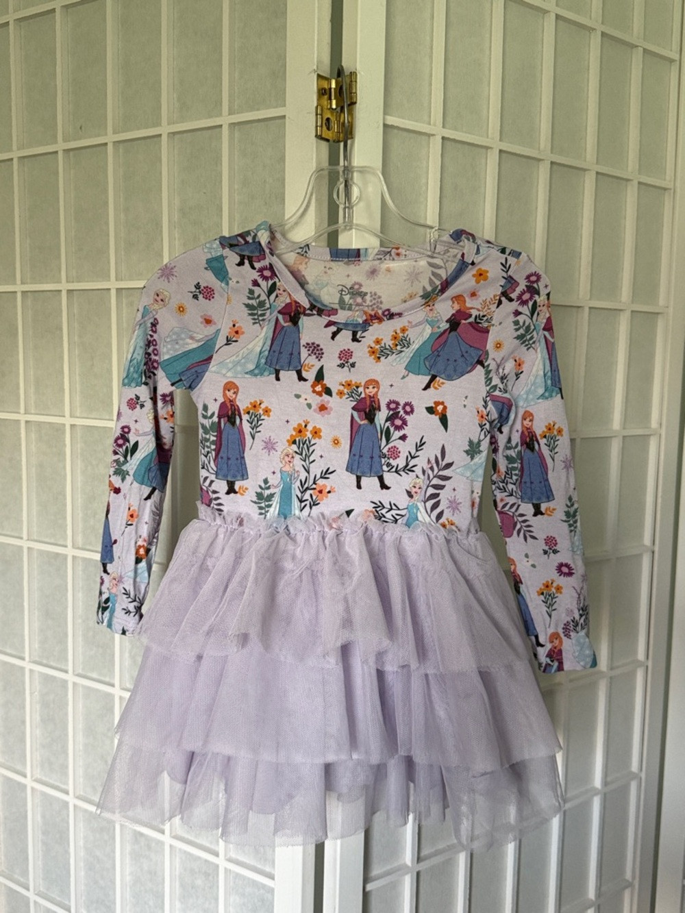 Posh Peanut Disney Frozen Sisters Tulle Dress Size 2T | Poshmark