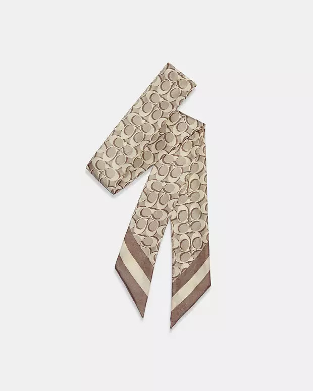 Signature Print Silk Skinny Scarf | Coach Outlet US