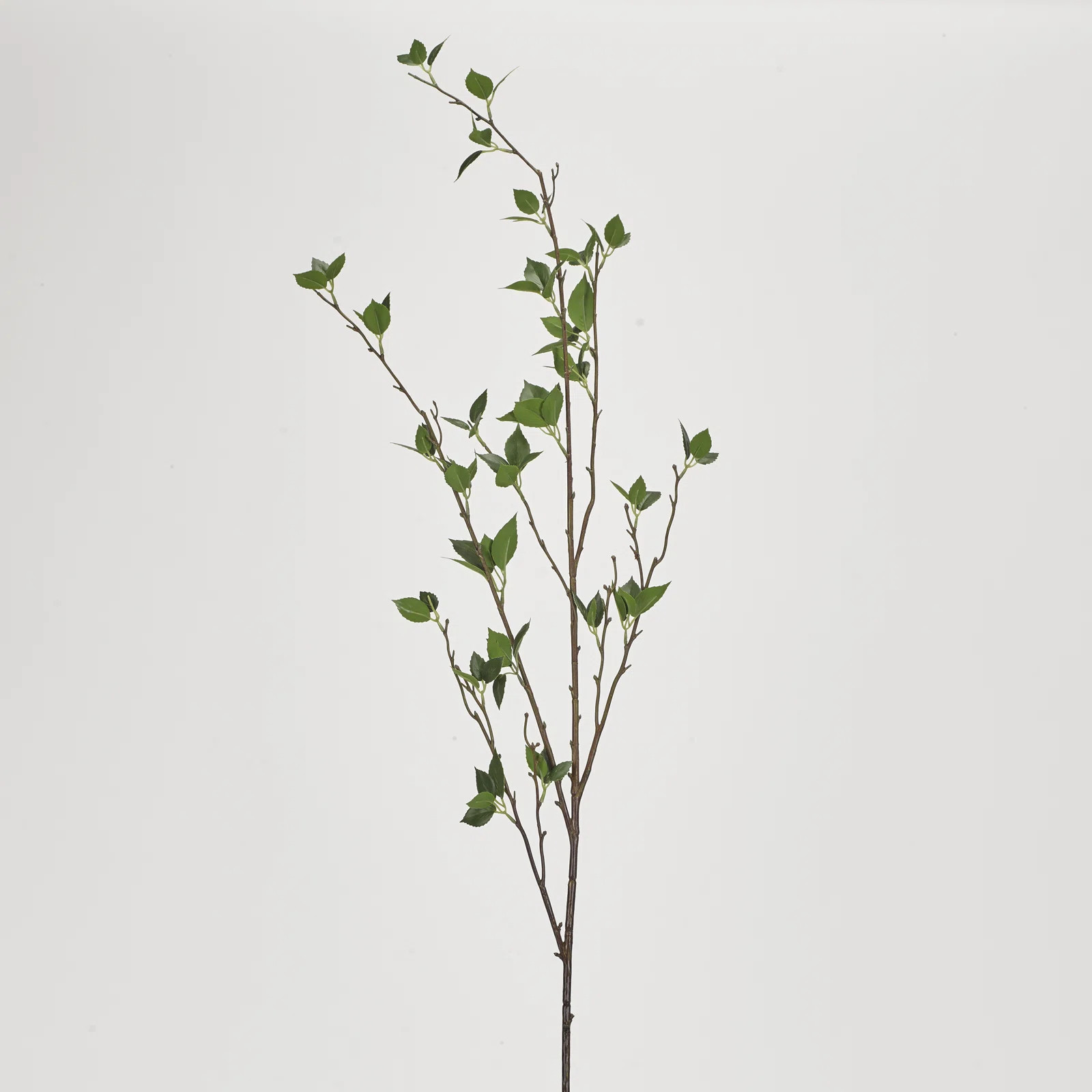 D & W Silks Touch Cherry Leaves Branch & Reviews | Wayfair | Wayfair North America