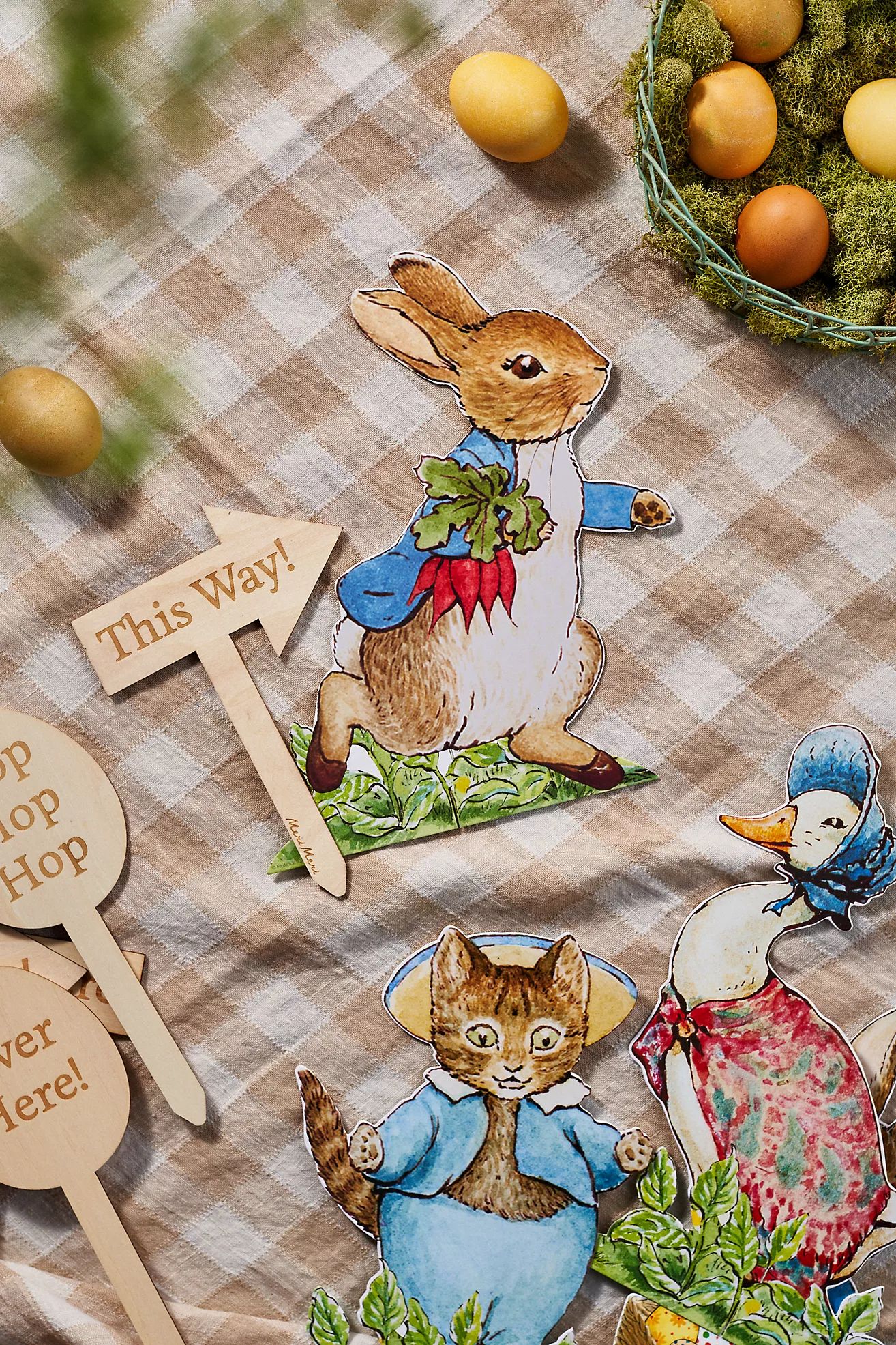 Peter Rabbit Egg Hunt Kit | Terrain