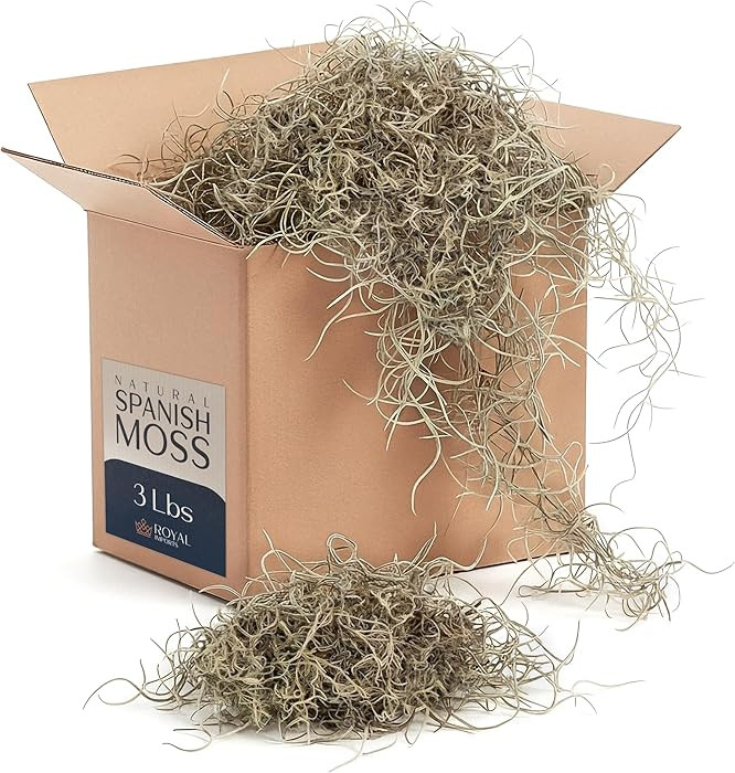 Royal Imports Preserved Natural Spanish Moss, Fresh Dried Shredded Loose Chunks, 3 LB Bulk Case | Amazon (US)