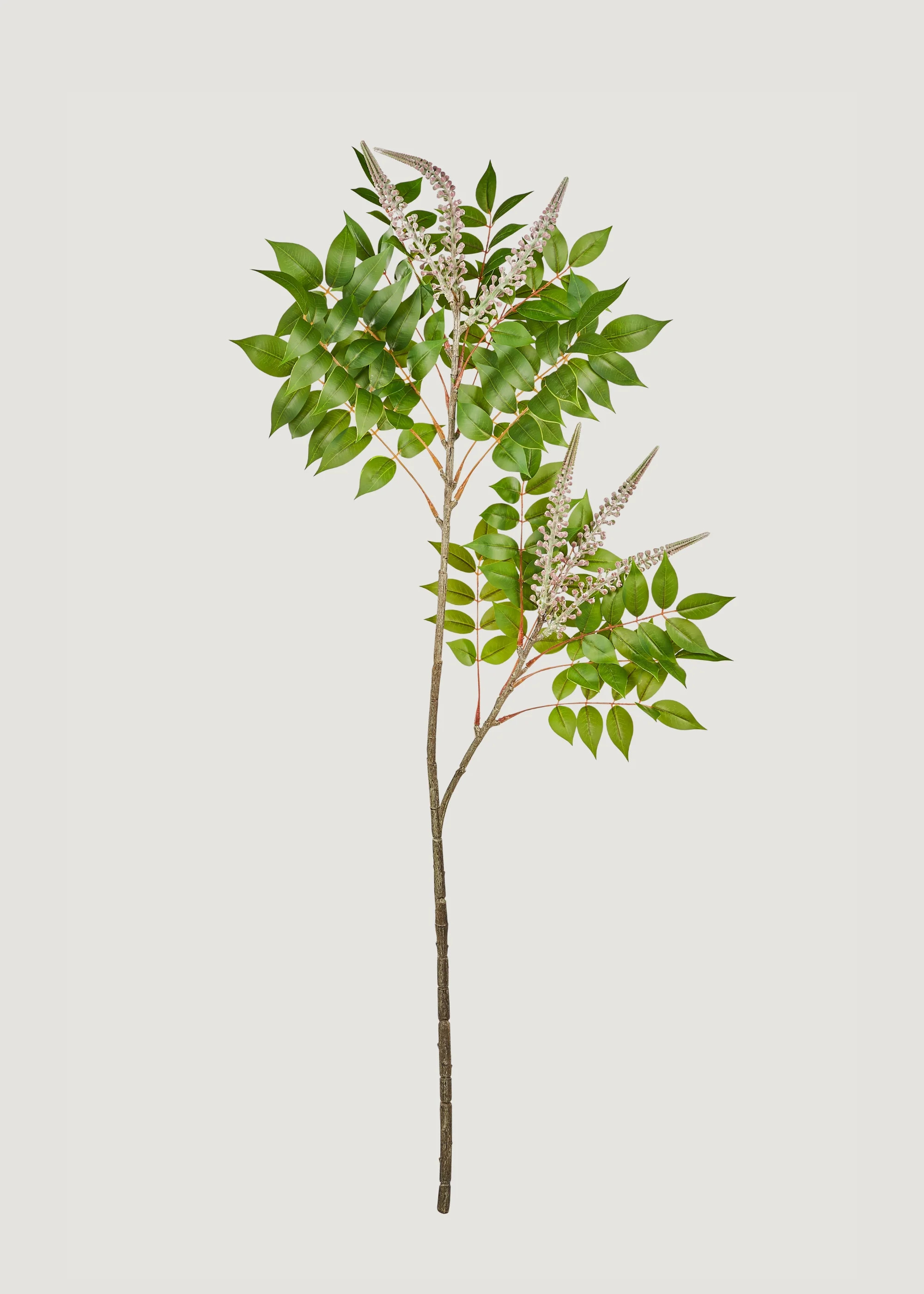 Japanese Lacquer Tree Branch | Tall Artificial Leaf Stems | Afloral | Afloral