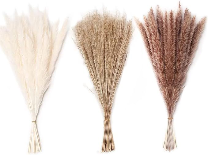 Amazon.com: EliSmart Dried Pampas Grass Decor, 90 Pcs Pampas Grass Including White & Natural Pamp... | Amazon (US)