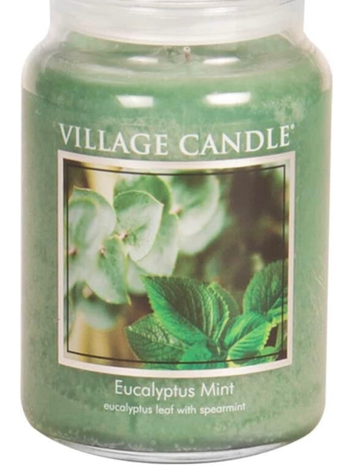 THE BEST smelling candle. Just replenished this for our guest bathroom!

#candle
#eucalyptus
#eucalyptuscandle
#amazonfinds
#bathroomcandles

#LTKxPrime #LTKSeasonal #LTKhome
