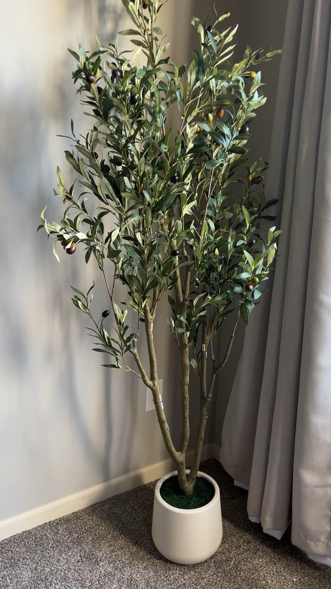 The prettiest little olive tree from Amazon! 🌿🤎 It’s already making our bedroom feel so warm and cozy. Can’t wait to finish this corner!💚✨

The one I got is 6ft 

#LTKdayinmylife #LTKHome #LTKmomlife #amazonhome #amazonfind 
