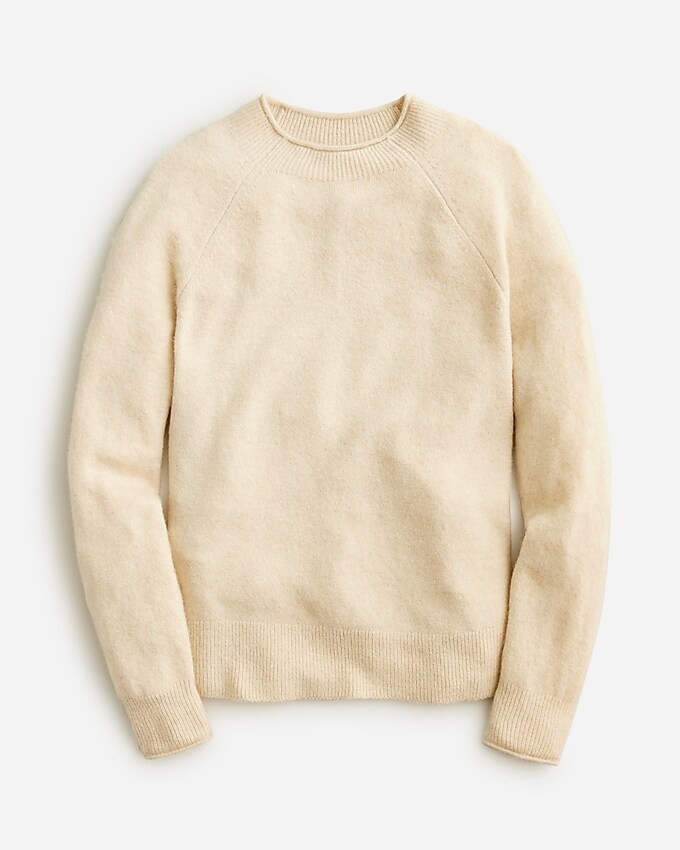 Rollneck sweater in Supersoft yarn | J. Crew US