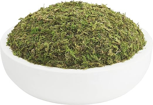 Mud Pie Preserved Moss Paulownia Bowl, Natural, 3" x 15" Dia | Amazon (US)