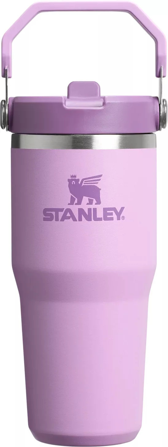 Stanley 14 oz. IceFlow 2.0 Flip Straw Tumbler, Lilac | DICK'S Sporting Goods