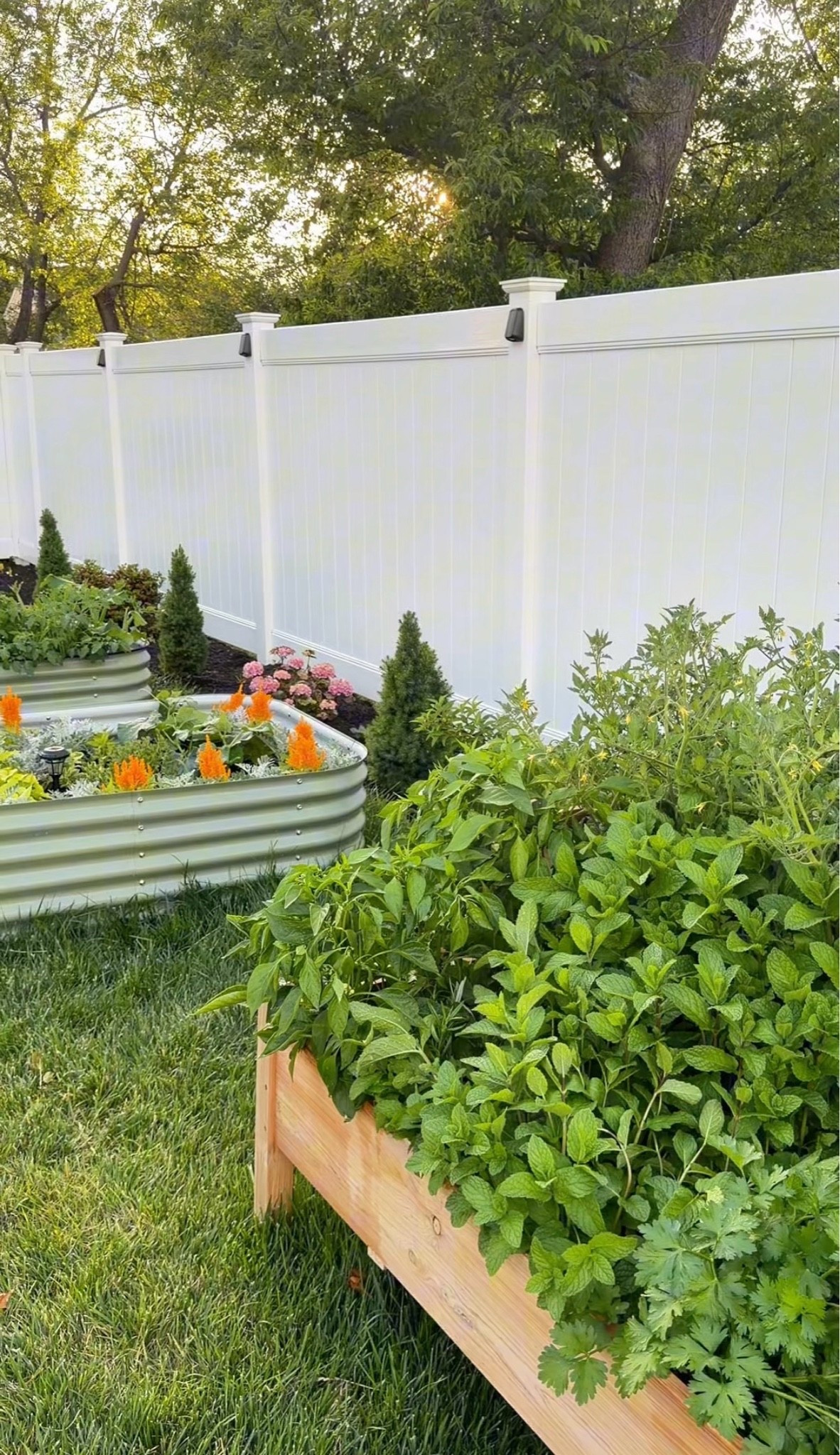 what we used for our gardens in our yard 🤍

#LTKSeasonal #LTKHome #LTKdayinmylife