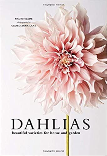 Dahlias: Beautiful Varieties for Home & Garden



Hardcover – Illustrated, July 10, 2018 | Amazon (US)