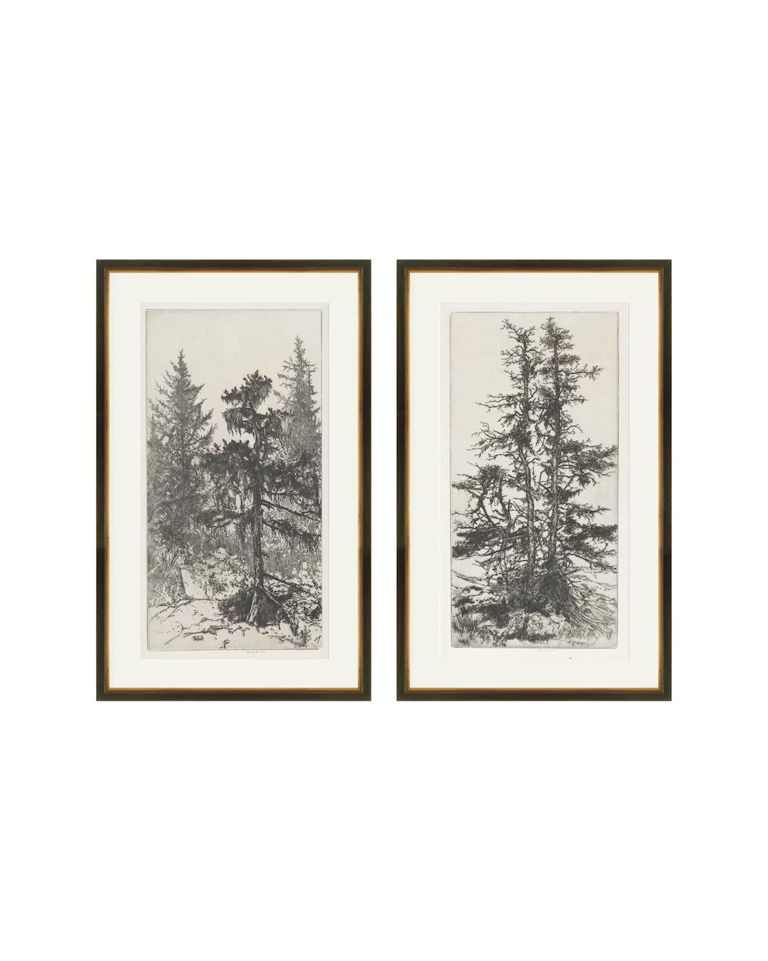 Set of 2 Tree Etchings. Vintage Tree Prints. Statement Art. Set of 2 wall art. Trees Drawings Set... | Etsy (US)