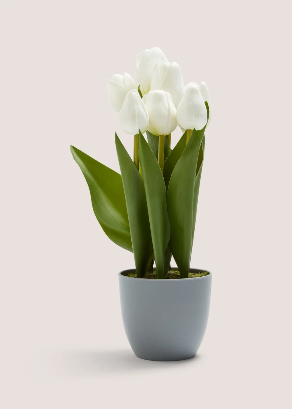 Tulips in Grey Pot | Matalan (UK)