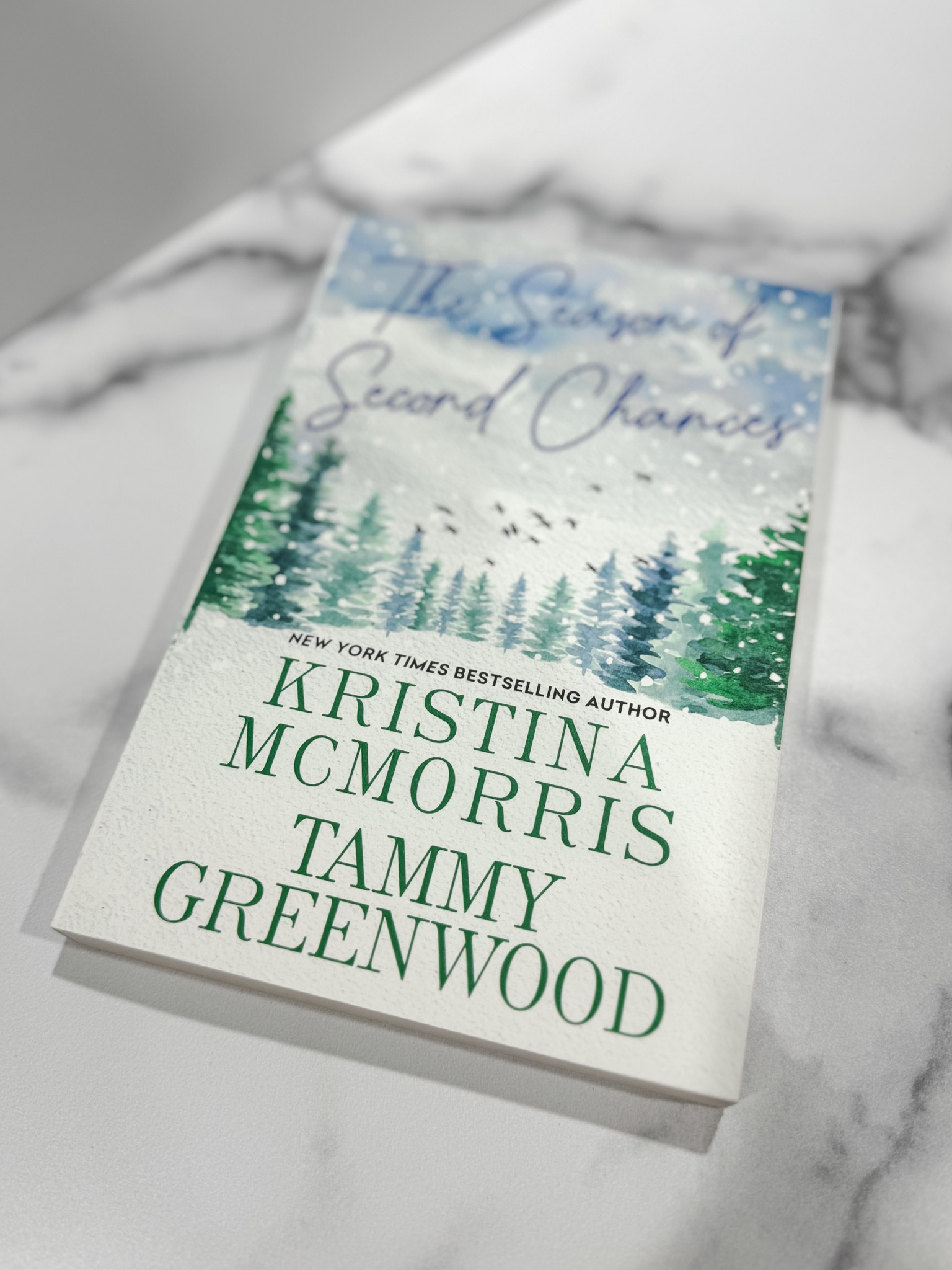 The holidays are a time for cherished traditions and warm memories of Christmases past. But for some, Christmas also offers the gift of new beginnings. Acclaimed, bestselling authors Kristina McMorris (Sold on a Monday) and Tammy Greenwood (Such a Pretty Girl) celebrate this special magic of the season in a duo of joyful, poignant stories about family, forgiveness, redemption, and love  

#LTKCyberWeek #LTKSeasonal #LTKGiftGuide