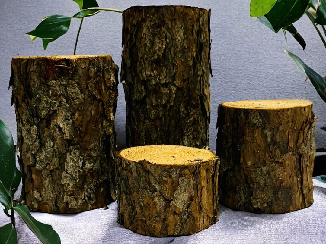 Pine Log Stumps large Set of 4 Christmas Pine Wood Decorations Rustic Wedding, Rustic Table Cente... | Etsy (US)