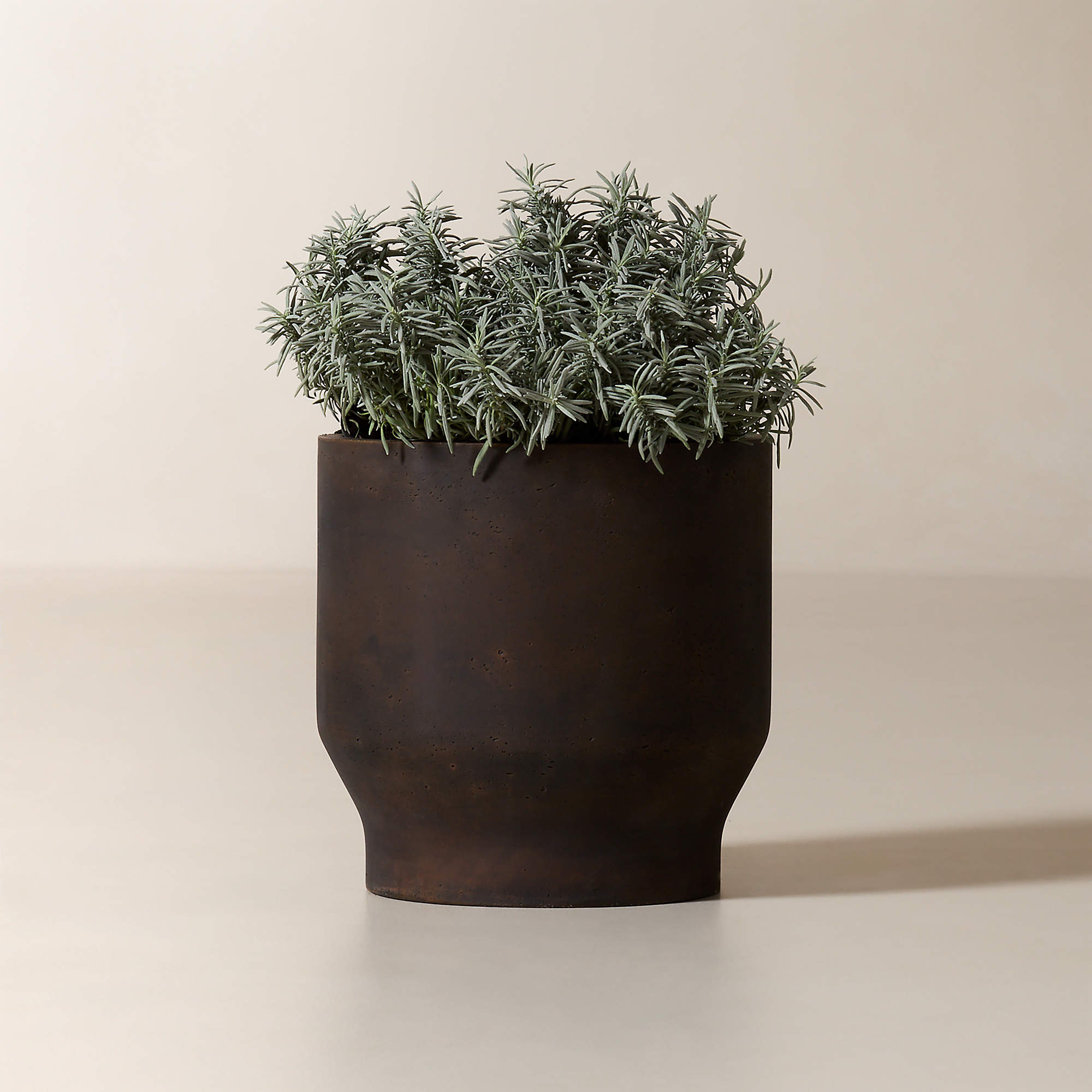 Oberon Antiqued Dark Brown Cement Indoor/Outdoor Medium Planter 15.75"H | CB2 | CB2