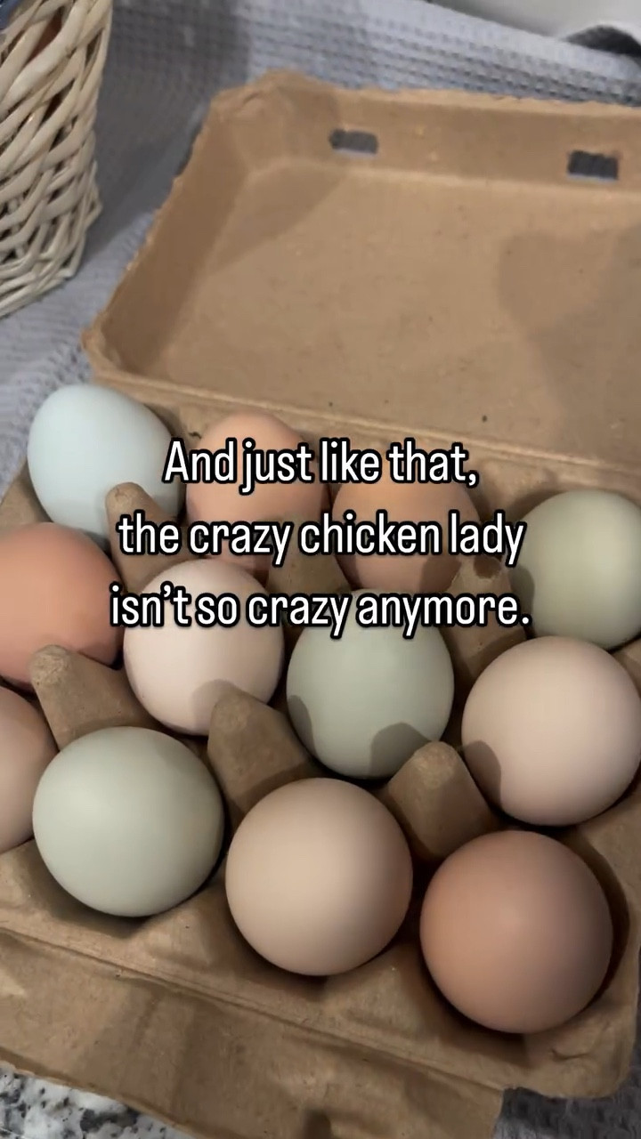So true! 😂
I’m that crazy chicken lady, and I’ve never been more proud!👊🏼
Here are the cartons I use and the link to where I designed my stamp!

#chickenEggs #Homestead #FreshEggs #OrganicEggs #FreeEggs

#LTKHome #LTKSeasonal