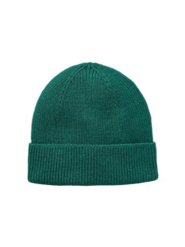 GAP Mens Cozy Ribbed Beanie Hat Essex Green V2 ONE Size | Amazon (US)