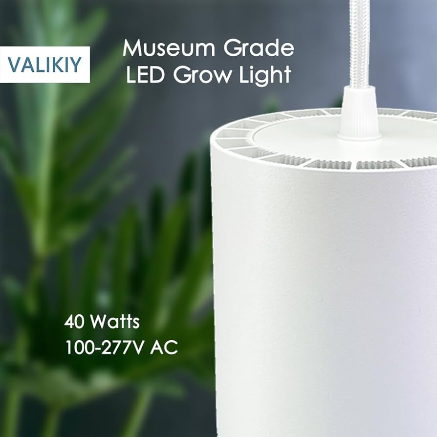 VALIKIY | Amazon (US)