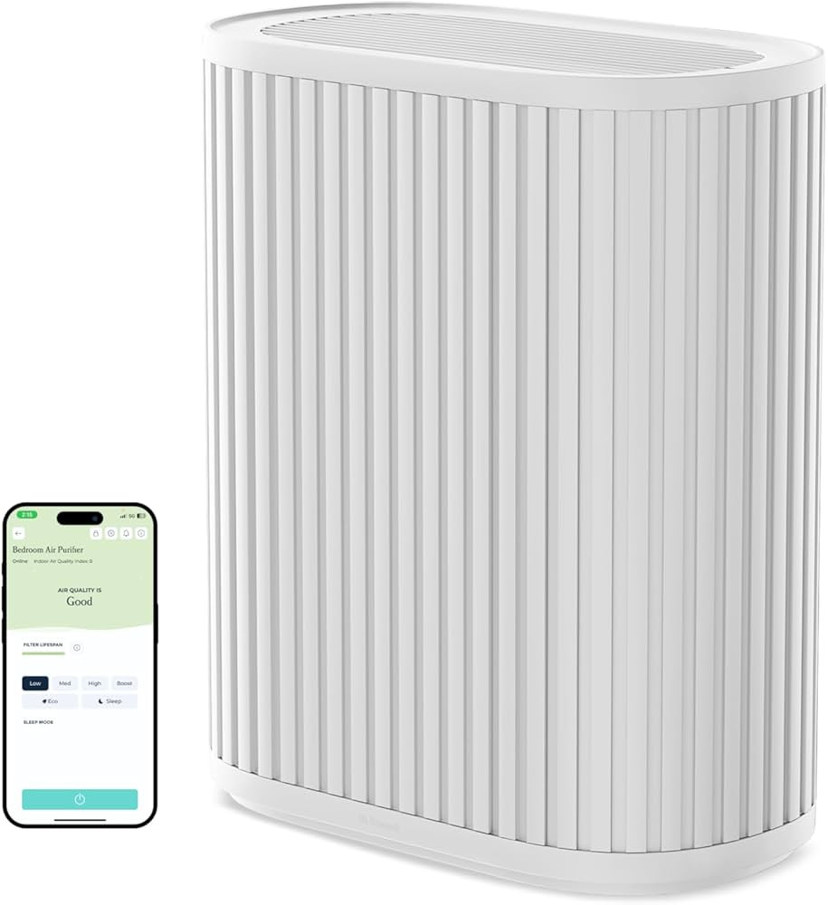Windmill Air Purifier for Home - 3-In-1 Filtration for Smoke & More - True HEPA Filter, Activated... | Amazon (US)