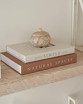 Beautiful Decorative Books - Set of 2 Boxes Enhance Your Coffee Table, Bookshelf or Mantel Shelf ... | Amazon (US)