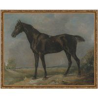 Framed. Study Of A Horse Ii. Antique Art. Framed Painting Horse. Wall Art Painting. Animal Oil | Etsy (US)