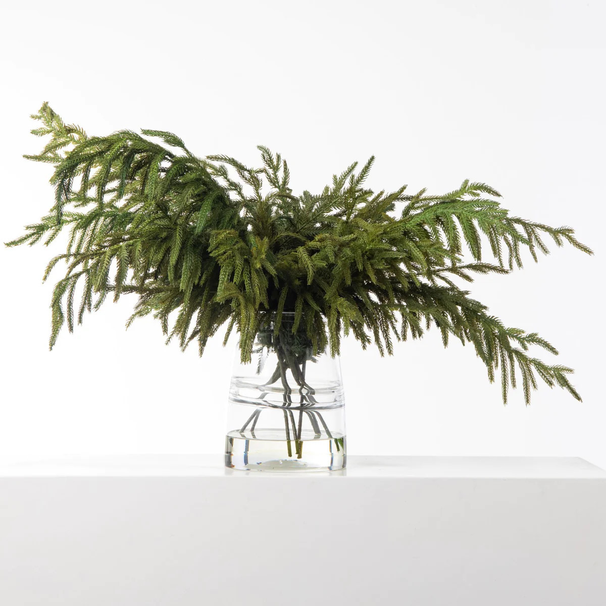 Real Touch Norfolk Pine Branches in Glass Jug Vase Large Centerpiece Christmas Water Illusion Arr... | Darby Creek Trading