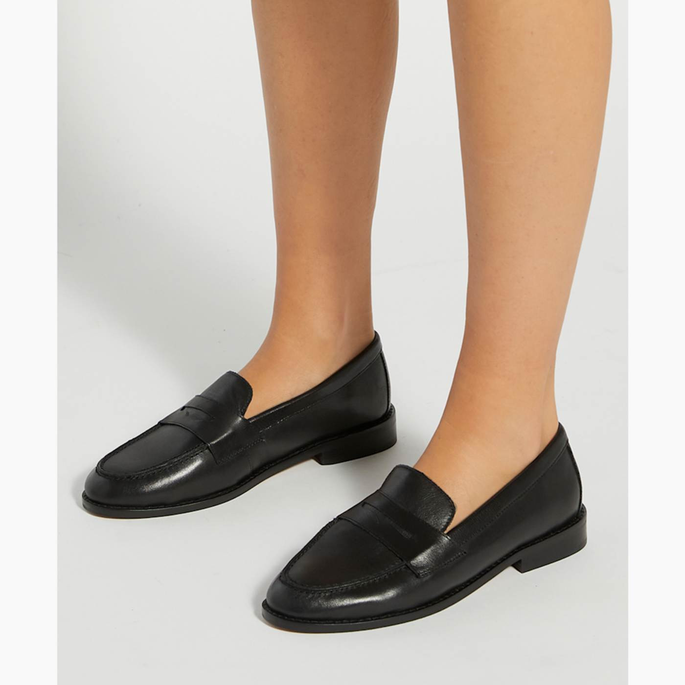 Ginelli - Black | Dune (EU)