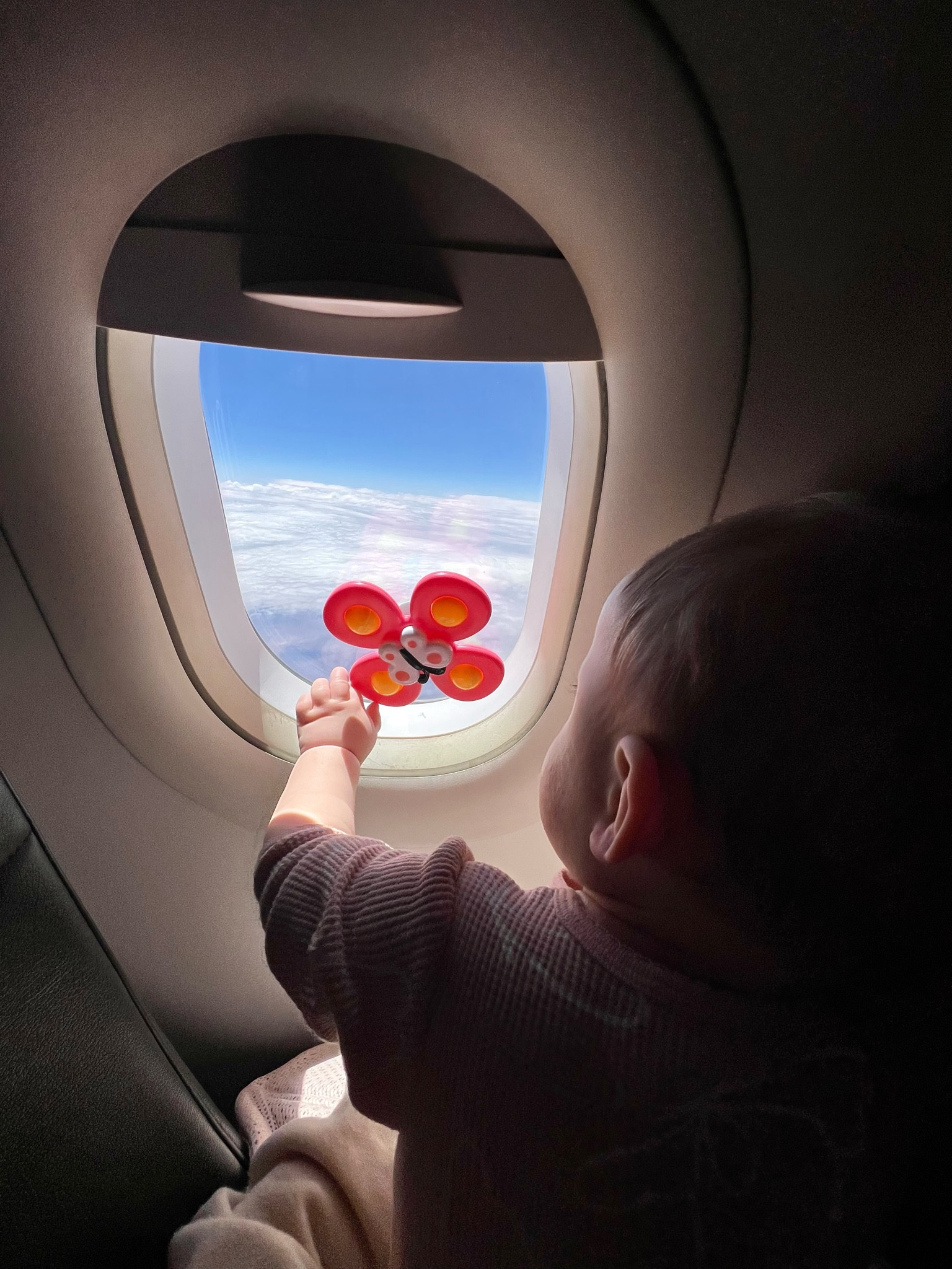 Spinners toys
Baby toys 
Baby travel 
Amazon finds 


#LTKtravel #LTKbaby #LTKfamily