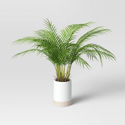 Palm in white Ceramic Pot - Threshold&#8482; | Target