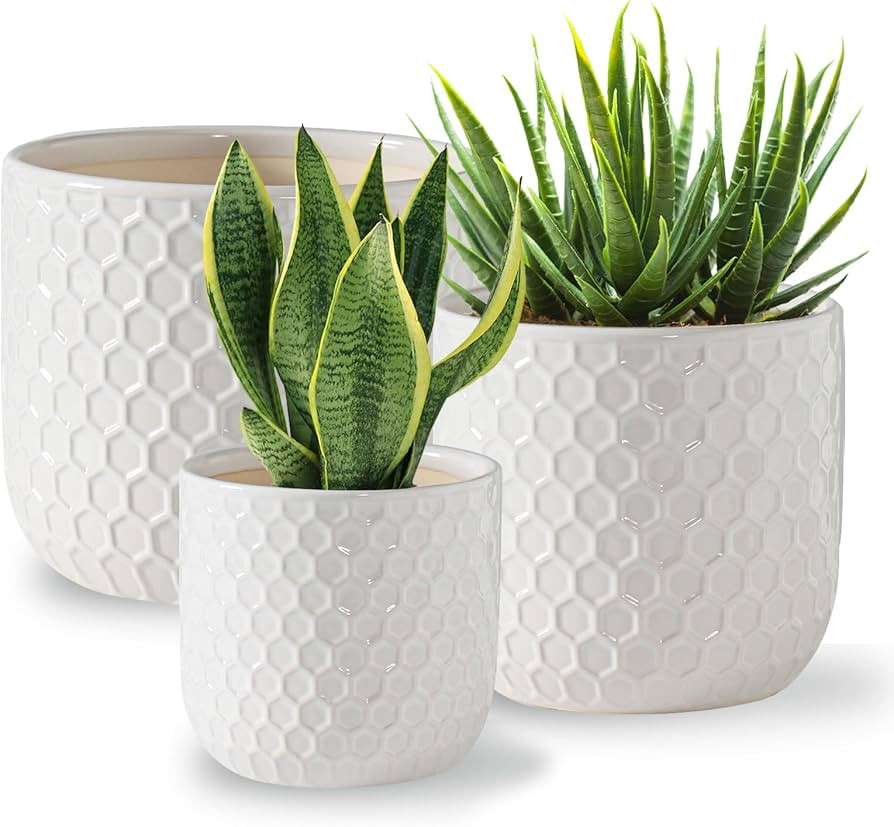 Docrin Plant Pots Indoor with Drainage: 6.4+5.3+4 Inch Ceramic Flower Pots for Plants - Set of 3 ... | Amazon (US)