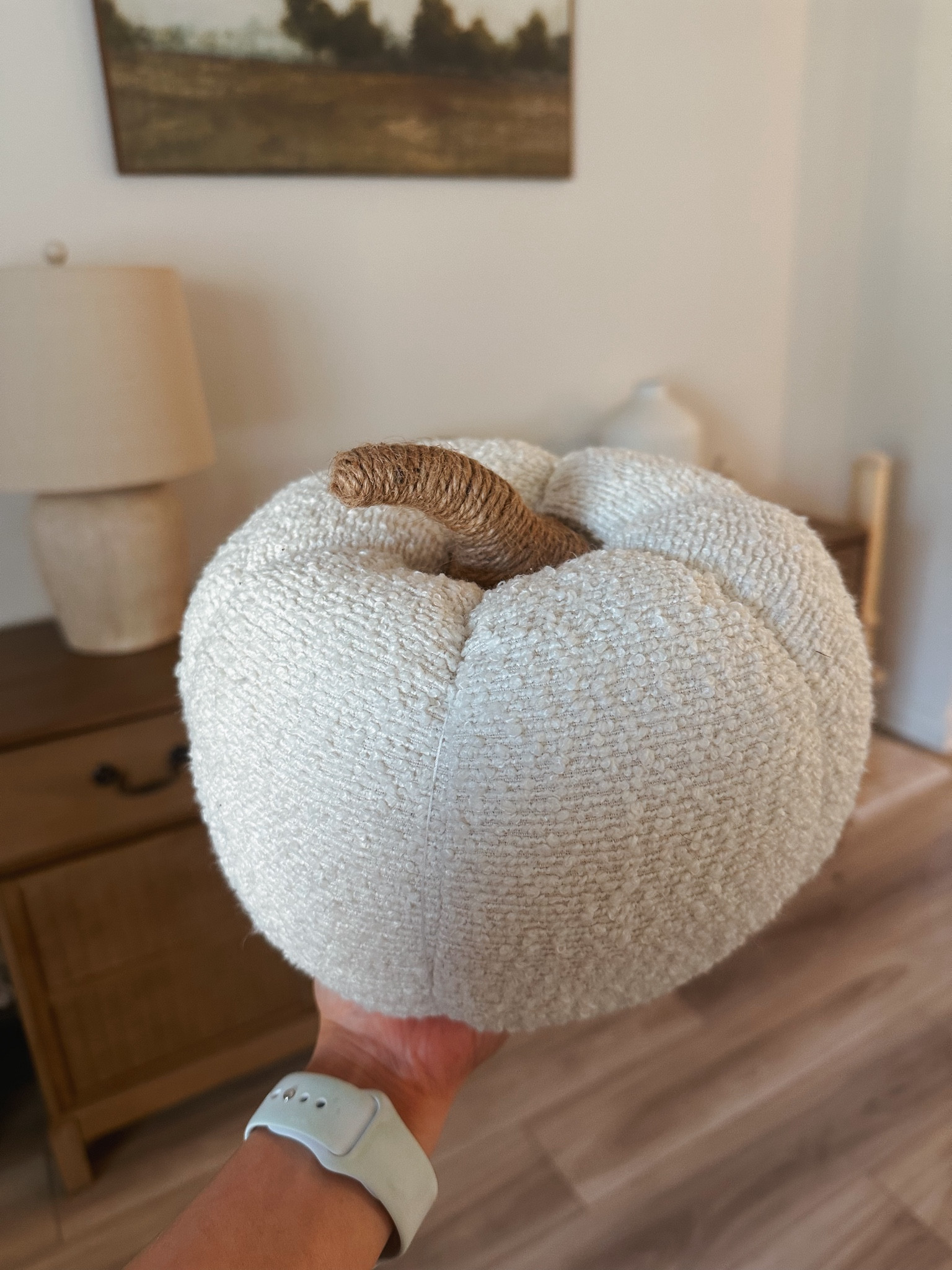Pumpkin pillow
*Linked similar

#LTKHome #LTKFindsUnder50 #LTKSeasonal