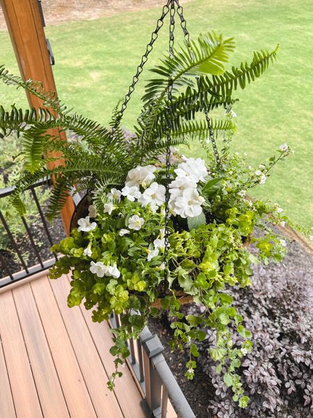 Green and white hanging baskets the easy way

#LTKHome