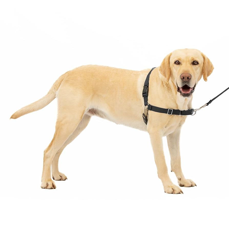 PetSafe Easy Walk No-Pull Dog Harness - The Ultimate Harness to Help Stop Pulling - Take Control ... | Amazon (US)