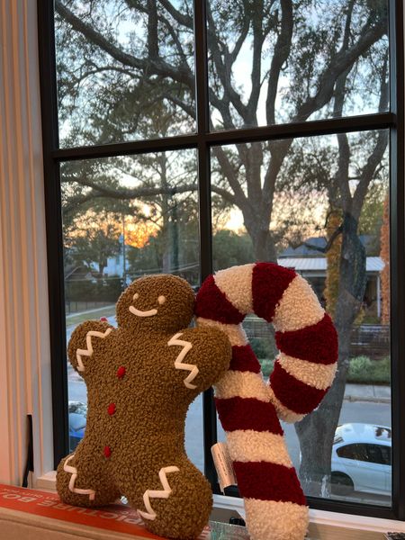 Gingerbread man and candy cane pillows 🎄

#LTKSeasonal #LTKGiftGuide #LTKHoliday