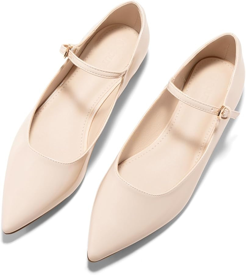 Coutgo Womens Mary Jane Flats Closed Pointed Toe Ballet Flats Ankle Strap Work Dress Shoes | Amazon (US)